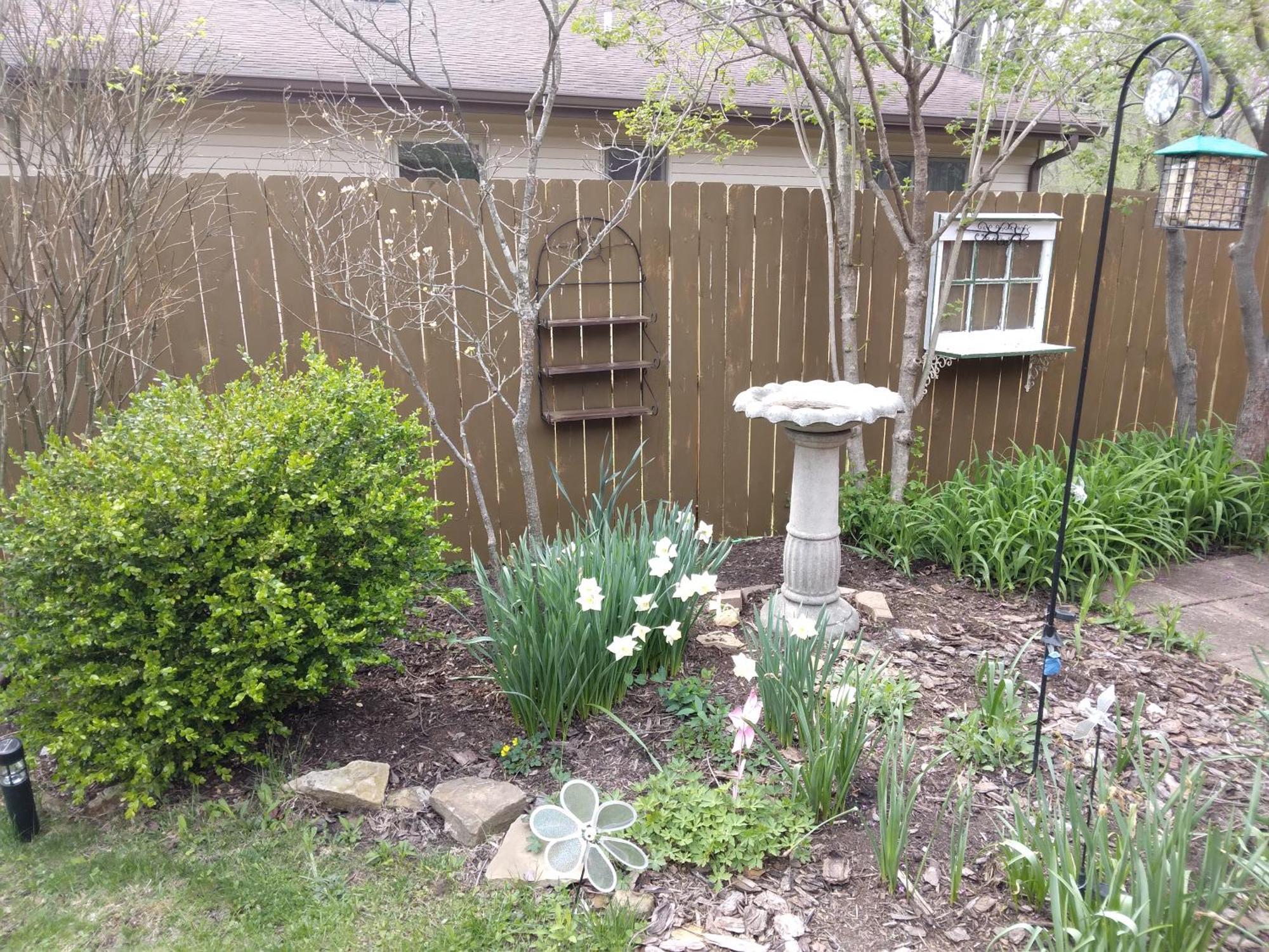 Betty Lous Garden Bed and Breakfast Nashville Exteriör bild